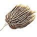 2 Pack Spring Twist Ombre Colors Bomb Twist Crochet Braids 8 inch Fluffy Soft Jamaican Bounce Synthetic Braiding Hair Extensions 30Strands/pack (#27/613)