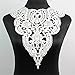 1 Pc Classic Flower Neckline Lace Collar Charming Sewing Wedding Applique White
