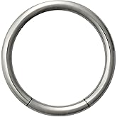 Forbidden Body Jewelry 16g 3/8 Inch Surgical Steel Segment Hoop Ring Circular Barbell