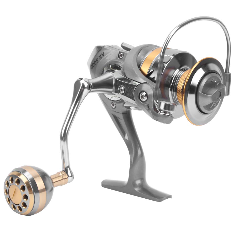 RiToEasysports Fishing Reel,Left/Right Interchangeable Sea Fishing Fishing Casting Reel for Freshwater and Saltwater (AR5000) Fishing Reels and Fishing Maintenance Tools Fishing Supplies
