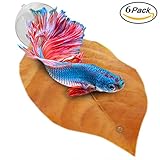 Betta Bed Kit (6 Beds + 2 Suction Cups) by Sungrow - Non-plastic, BPA-Free Hammock - Natural, Organic, Comfortable Rest Area for Fish Aquarium - Improves health by Simulating Betta's Natural Habitat (Misc.)