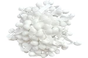 yoyo Pom Pom Trim 20 Yards 12 mm White Pom Pom Ball Fringe Trim for Sewing Accessory Decoration DIY Crafts White