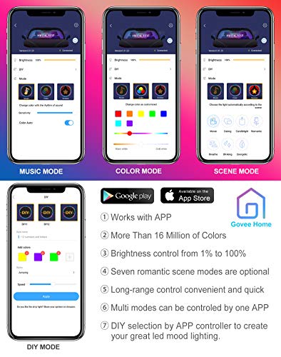 4 Interior+Govee+Two+Line+Waterproof+Controller