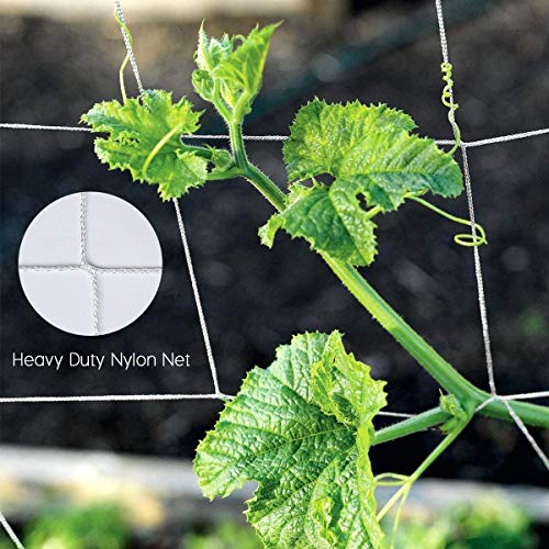 Hywean Ranknetz für Kletterpflanzen Rankhilfe mit 50 Kabelbinder Pflanzennetz Gartennetze Rankgitter Plant Support… – Bild 4