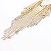 DOTASI Bikini Cross Body Link Chain Necklace to Waist Belly Belt Harness Women Body Full Metal Chain Gold Jewelry Necklace