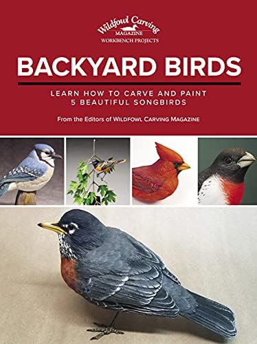 Songbird Carving: ROSALYN LEACH DAISEY: 9780887400575: Amazon.com 