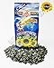 Premium Roasted Sunflower Seeds by Mr.Martin (Ot Martina) Sea Salted 500G Pack of 2