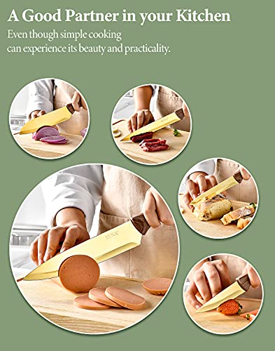 EUNA 5 PCS Küchenmessersets Professionelle scharfe Kochmessersets mit Bezug und Geschenkbox Langlebiges Kochset Set aus Küchenmessern aus Kohlenstoffstahl (gelb)