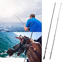 plusinno fishing rod