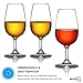 MICHLEY Unbreakable Stemmed Wine Glasses, 100% Tritan Plastic Snifter Glasses, BPA-free & Dishwasher Safe, Small Size 7.8 oz,Set of 2
