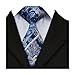 Hi-Tie Mens Silk Tie set Blue Paisley