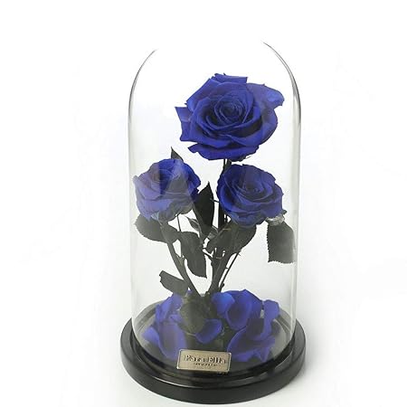 Fleur éternelle Rose Coffret Cadeau Fête Des Mères Garantie