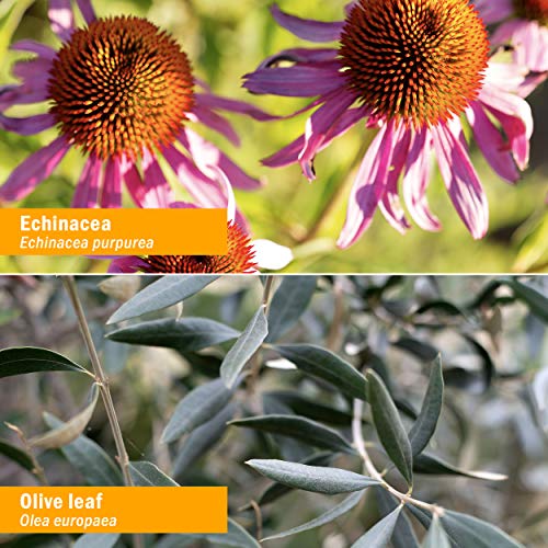 Herb Pharm Virattack Liquid Herbal Formula with Lomatium for Active