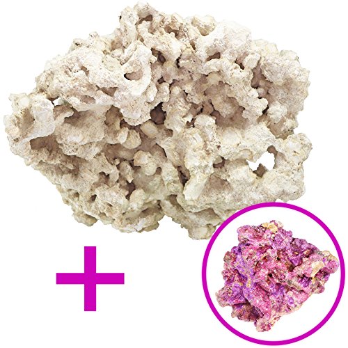 ARC Reef Dry Base Rock with Coralline Algae Bonus Rock for Saltwater