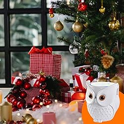 KeyEntre Owl Shape Smart Home Guard Owl Statue