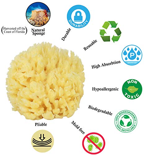 Baby Buddy Natural Baby Bath Sponge 4" Soft Yellow Sea Sponge Soft on Baby's Tender Skin, Biodegradable, Hypoallergenic, Absorbent Natural Sea Sponge, 1 Pack