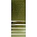 Daniel Smith 19093 Extra Fine Watercolor 15ml Paint Tube, Undersea Green (284600109), 0.5 Fl Oz (Pack of 1)