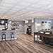 Genesis - Icon Relief White Ceiling Tile (Carton of 12) - Drop/Grid Ceiling - Fast and Easy Installation (2' x 2' Tile)