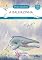 Livro A baleiazinha (Histórias de ecologia)