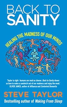Back to Sanity by [Taylor, Steve]