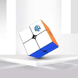 GAN 249 V2, 2x2 Speed Cube Gans Mini Cube Puzzle