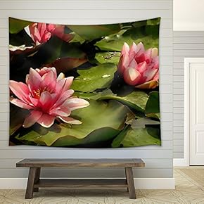 Pink Water Lilies - Fabric Wall Tapestry Home Decor - 51x60 inches