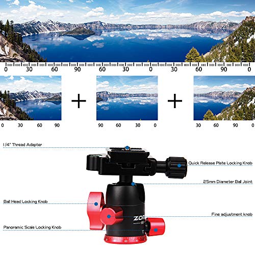 ZOMEi Camera Tripod Lightweight Travel Tripod Monopod 2 in 1 Portable Camera Tripod Stand with 360 Degree Ball Head, Remote Bluetooth and Phone Clip for Canon Nikon Sony GoPro DSLR SLR, Smartphone - Thumbnail 5