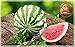 Watermelon Fruit Slicer Knife Corer Server Tongs As Seen On Tv Melon Cantaloupe Cutter Peeler Original Stainless Steel DishWasher Safe Smart Kitchen Gadget & Perfect Gift By ML.PRODUCTS