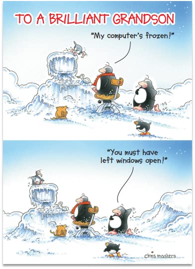 Grandson Humorous Christmas Card from the Eric the Penguin Range -Hotmail, Frozen Computer - for Him
