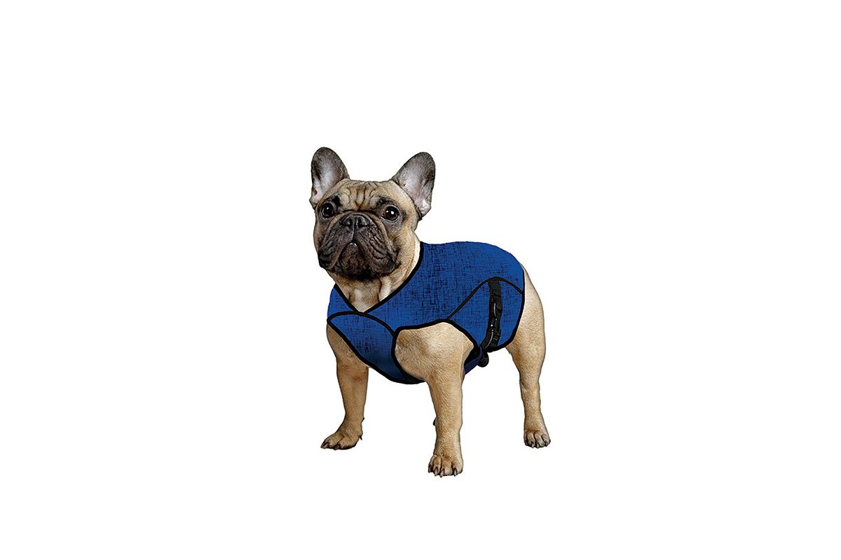 Aqua Coolkeeper 50AQPEJAPB01 Cooling Dog Coat