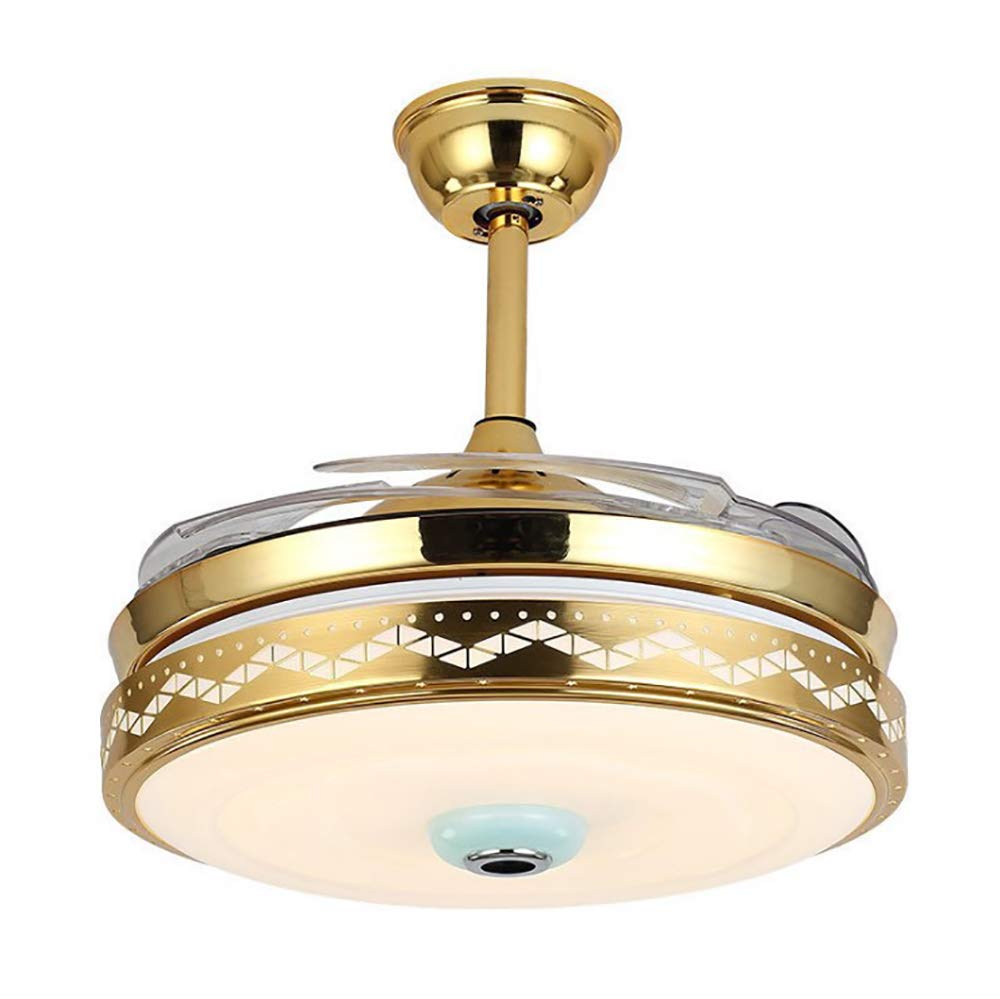 Amazon Com Bgtrryhy Led Mute Ceiling Fan Chandelier Retractable