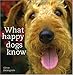 What Happy Dogs Know by
