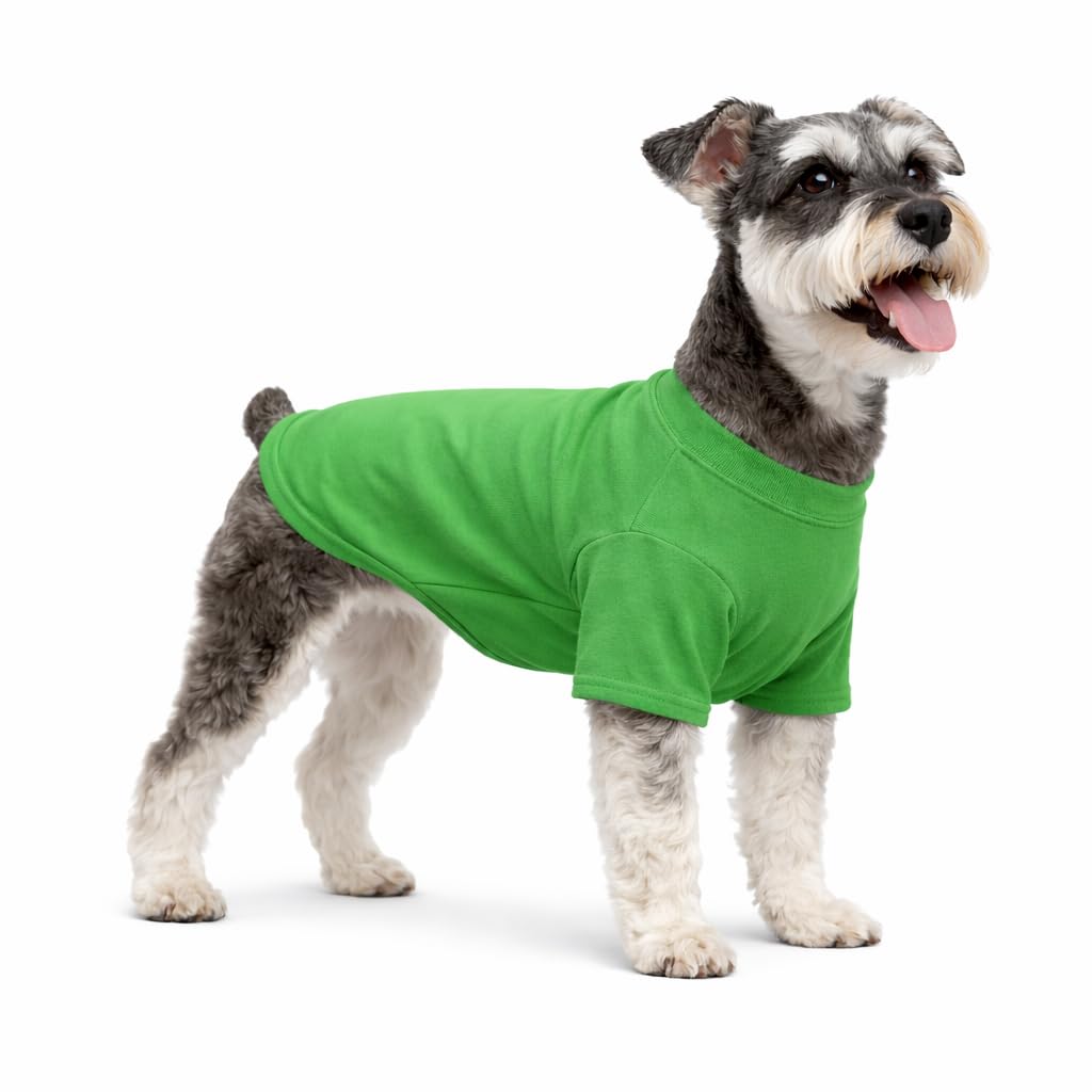 Lovelonglong Pet Clothing Dog Costumes Basic Blank T-Shirt Tee Shirts for Medium Small Dogs Green XL