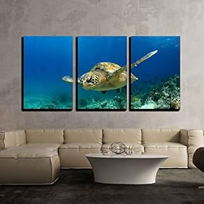 Green Sea Turtle In Deep Ocean - 3 Panel Canvas Art