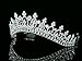 Bridal Wedding Pageant Princess Tiara Crown - Clear Crystals Silver Plating T208