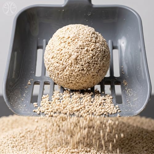 Areia de Mandioca para Gatos Torrão Firme Zero Odor Kit 2x4kg | Biodegradavel, granulos mistos de alta absorcao, descartavel no vaso sanitario, sem poeira, sem perfume artificial