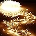 Christmas Cluster Lights 20 Foot Garland with 600 Warm White Lights on Clear Wire with Remote Control - Raz Exclusive