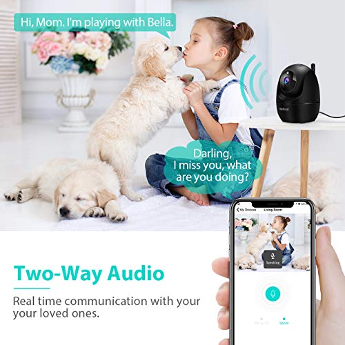 indoor dog camera
