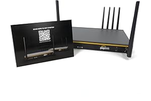 Peplink B-ONE-5GN-T-PRM