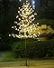 Bolylight LED Cherry Blossom Tree 6ft 208L and Indoor and Outdoor Decoration Lighted Tree for Bedroom/Party/Wedding/Office/Home Warm White