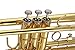 Kaizer Trumpet Bb B Flat Gold Lacquer Rose Brass Includes Case Mouthpiece and Accessories TRP-1000LQ