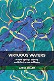 Casey Walsh, "Virtuous Waters: Mineral Springs, Bathing, and Infrastructure in Mexico" (U California Press, 2018)