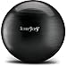 HemingWeigh Exercise and Yoga Ball Chair Fitness Ball for Workout Balance, Pregnancy Abs and Core Strength Gym and Stability Ball with Pump Black 75 cm 29.6 Inch