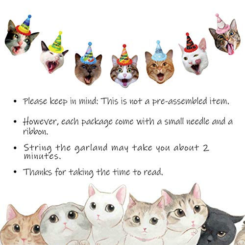 Cat Birthday Garland, Cat Party Supplies Decorations, Kitty Face Bunting with Birthday Hat on Head