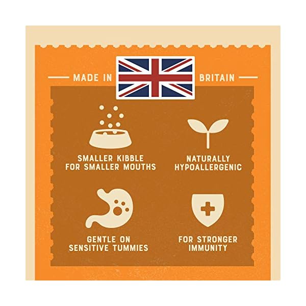 James-Wellbeloved-Complete-Dry-Adult-Small-Breed-Dog-Food-Turkey-and-Rice-15-kg James Wellbeloved Adult Small Breed Turkey and Rice 1.5 Kg