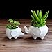 Set of 2 Cute Elephant Flower Pot,Modern White Ceramic Succulent Planter Pots/Tiny Flower Plant Containers (Elephant)
