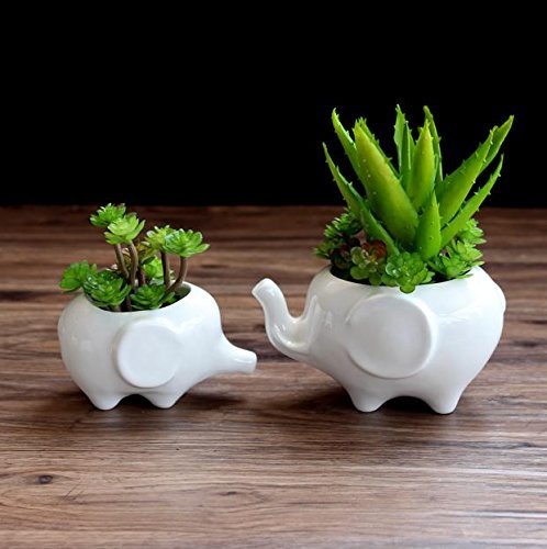 Sea star Set of 2 Cute Elephant Flower Pot,Modern White Ceramic Succulent Planter Pots / Tiny Flower Plant Containers (Elephant)