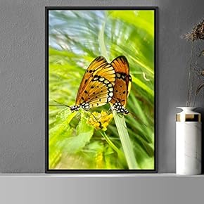signwin Framed Canvas Wall Art Butterfly Expressive Farmhouse/Country...