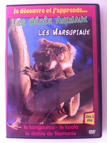Les Bebes Animaux - Les Marsupiaux -
