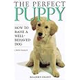 The Perfect Puppy : How to Raise a Well-Behaved Dog